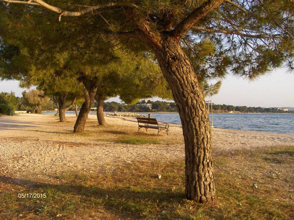 Apartment Tome Diklo Zadar Værelse billede